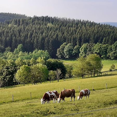 Ferienwohnung Jule Incl Sommer Card Winterberg Eksteriør bilde
