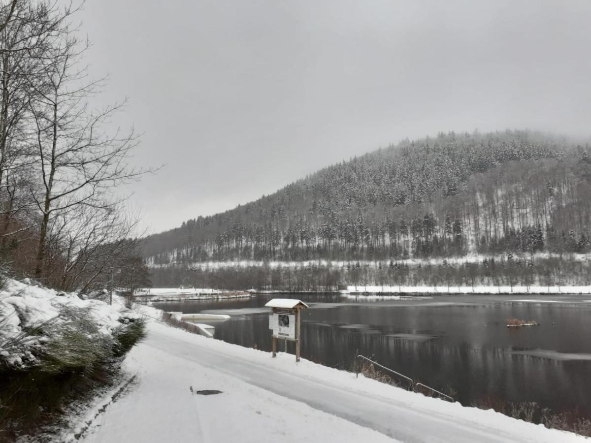 Ferienwohnung Jule Incl Sommer Card Winterberg Eksteriør bilde